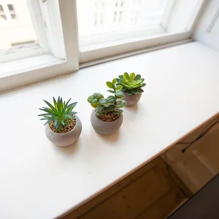 Charming Old-town Flat In Apartment Kopenhagen