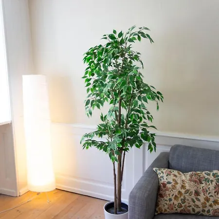 Charming Old-town Flat In Kopenhagen